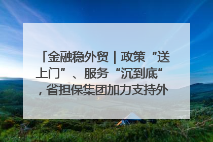 金融稳外贸｜政策“送上门”、服务“沉到底”，省担保集团加力支持外经贸高质量发展