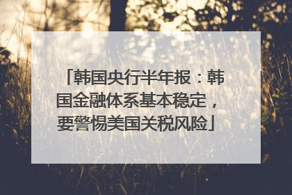 韩国央行半年报：韩国金融体系基本稳定，要警惕美国关税风险