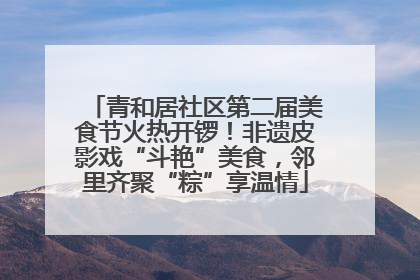 青和居社区第二届美食节火热开锣！非遗皮影戏“斗艳”美食，邻里齐聚“粽”享温情