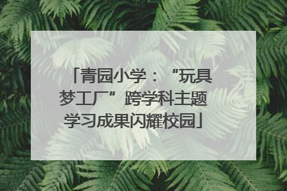 青园小学：“玩具梦工厂”跨学科主题学习成果闪耀校园