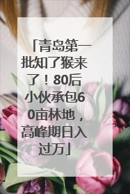 青岛第一批知了猴来了！80后小伙承包60亩林地，高峰期日入过万