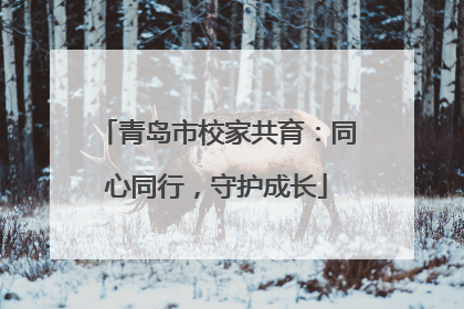 青岛市校家共育：同心同行，守护成长