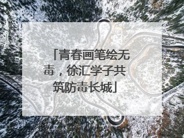 青春画笔绘无毒，徐汇学子共筑防毒长城