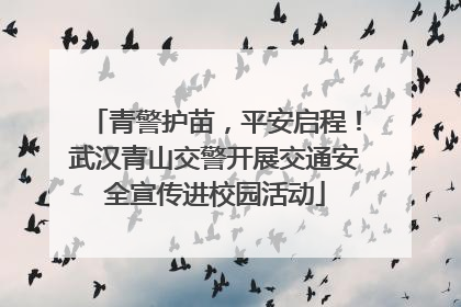 青警护苗，平安启程！武汉青山交警开展交通安全宣传进校园活动
