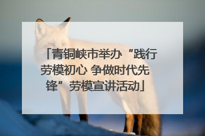 青铜峡市举办“践行劳模初心 争做时代先锋”劳模宣讲活动