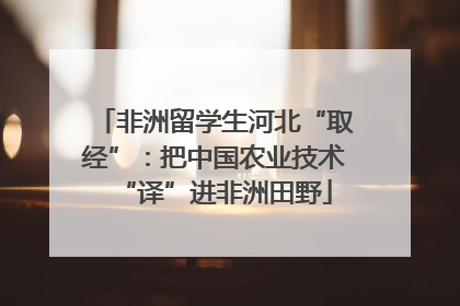非洲留学生河北“取经”：把中国农业技术“译”进非洲田野