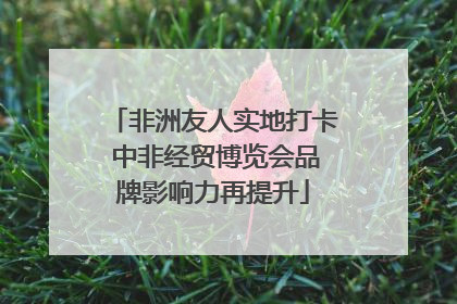 非洲友人实地打卡 中非经贸博览会品牌影响力再提升