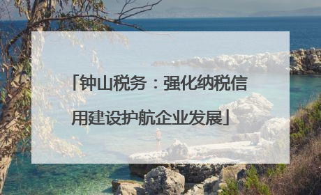 钟山税务：强化纳税信用建设护航企业发展