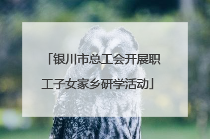 银川市总工会开展职工子女家乡研学活动