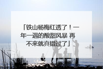 铁山杨梅红透了！一年一遇的酸甜风暴 再不来就真错过了