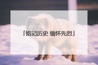 铭记历史 缅怀先烈