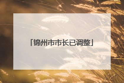 锦州市市长已调整
