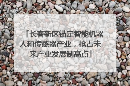 长春新区锚定智能机器人和传感器产业，抢占未来产业发展制高点