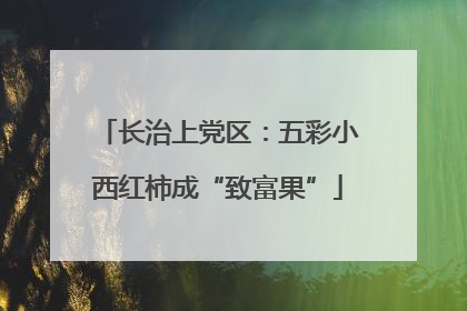 长治上党区：五彩小西红柿成“致富果”
