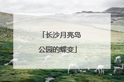 长沙月亮岛公园的蝶变