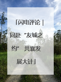 闪电评论｜同赴“友城之约” 共襄发展大计