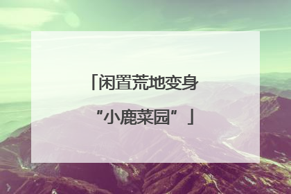 闲置荒地变身“小鹿菜园”