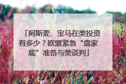 阿斯麦、宝马在美投资有多少？欧盟紧急“盘家底”准备与美谈判