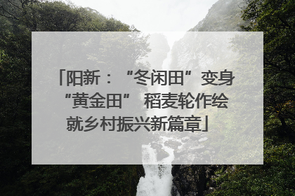 阳新：“冬闲田”变身“黄金田” 稻麦轮作绘就乡村振兴新篇章