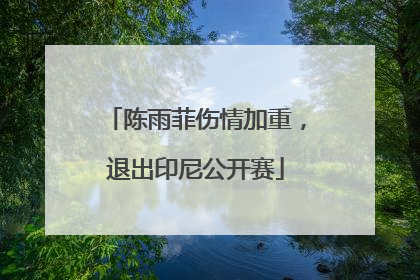 陈雨菲伤情加重，退出印尼公开赛