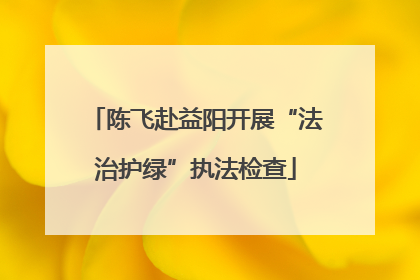 陈飞赴益阳开展“法治护绿”执法检查