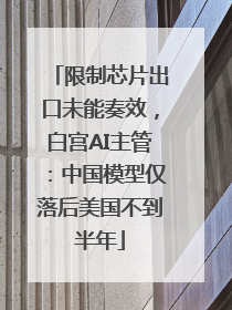 限制芯片出口未能奏效，白宫AI主管：中国模型仅落后美国不到半年