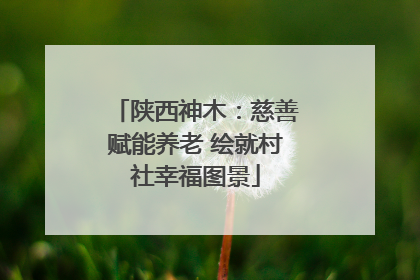 陕西神木：慈善赋能养老 绘就村社幸福图景