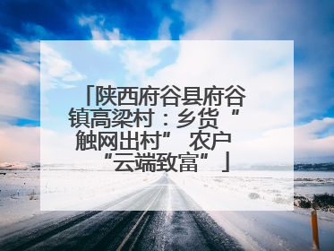 陕西府谷县府谷镇高梁村：乡货“触网出村” 农户“云端致富”