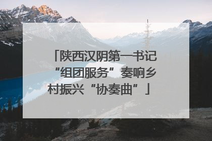 陕西汉阴第一书记“组团服务”奏响乡村振兴“协奏曲”