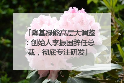 隆基绿能高层大调整：创始人李振国辞任总裁，彻底专注研发