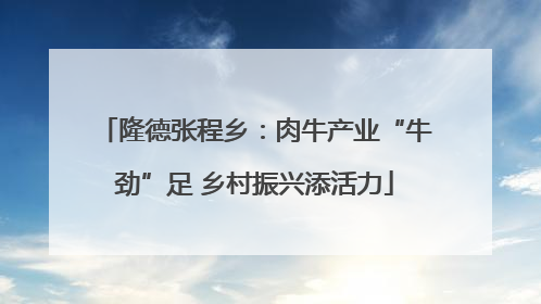 隆德张程乡：肉牛产业“牛劲”足 乡村振兴添活力