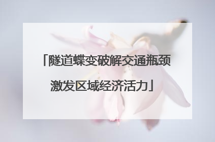 隧道蝶变破解交通瓶颈 激发区域经济活力
