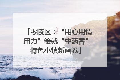 零陵区：“用心用情用力”绘就“中药香”特色小镇新画卷