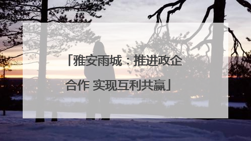 雅安雨城：推进政企合作 实现互利共赢