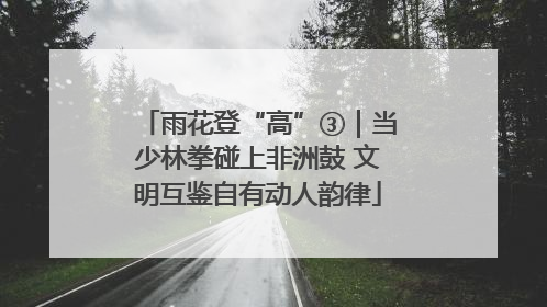 雨花登“高”③｜当少林拳碰上非洲鼓 文明互鉴自有动人韵律
