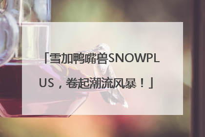 雪加鸭嘴兽SNOWPLUS，卷起潮流风暴！