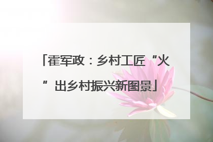 霍军政：乡村工匠“火”出乡村振兴新图景