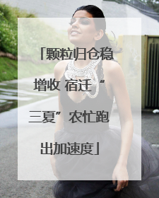 颗粒归仓稳增收 宿迁“三夏”农忙跑出加速度