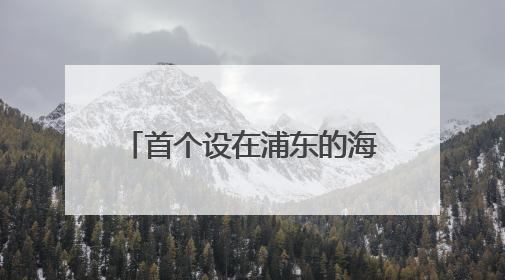 首个设在浦东的海外园区服务站揭牌