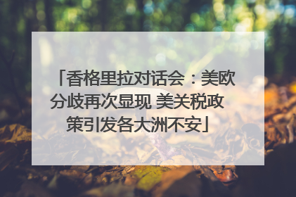 香格里拉对话会：美欧分歧再次显现 美关税政策引发各大洲不安