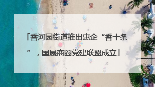 香河园街道推出惠企“香十条”，国展商圈党建联盟成立