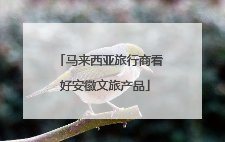 马来西亚旅行商看好安徽文旅产品