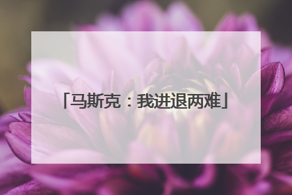 马斯克：我进退两难