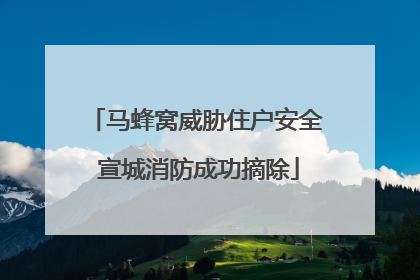 马蜂窝威胁住户安全 宣城消防成功摘除