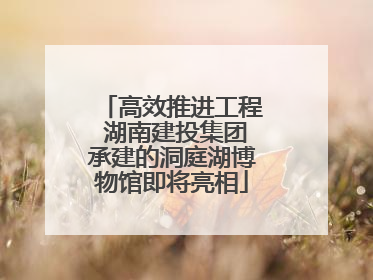 高效推进工程 湖南建投集团承建的洞庭湖博物馆即将亮相