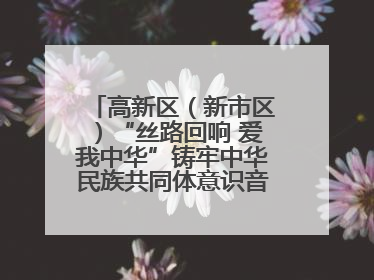 高新区（新市区）“丝路回响 爱我中华”铸牢中华民族共同体意识音乐会启幕