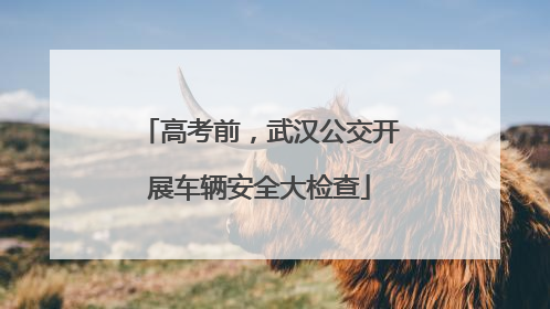 高考前，武汉公交开展车辆安全大检查