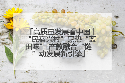高质量发展看中国丨“民宿兴村”烹热“蓝田味” 产教融合“链”动发展新引擎