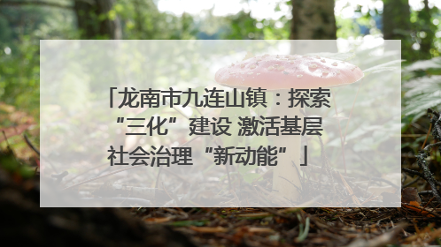 龙南市九连山镇：探索“三化”建设 激活基层社会治理“新动能”