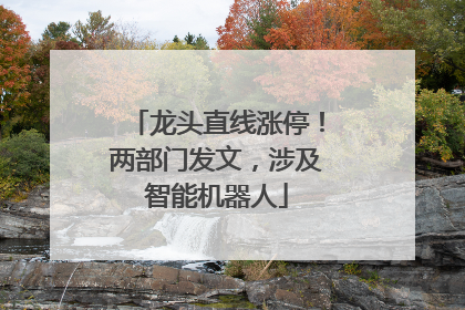 龙头直线涨停！两部门发文，涉及智能机器人